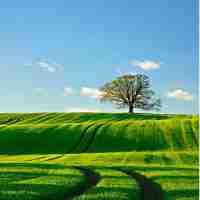 防‍火‌墙‍价‌钱﻿